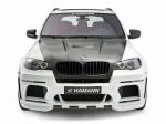 BMW Flash EVO M by Hamann 2010 года